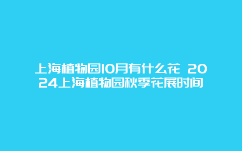 上海植物园10月有什么花 2024上海植物园秋季花展时间