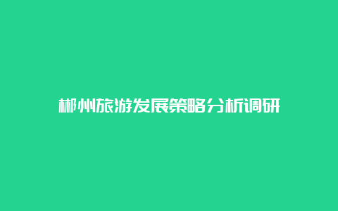 郴州旅游发展策略分析调研