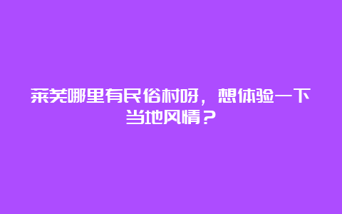 莱芜哪里有民俗村呀，想体验一下当地风情？