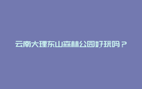 云南大理东山森林公园好玩吗？