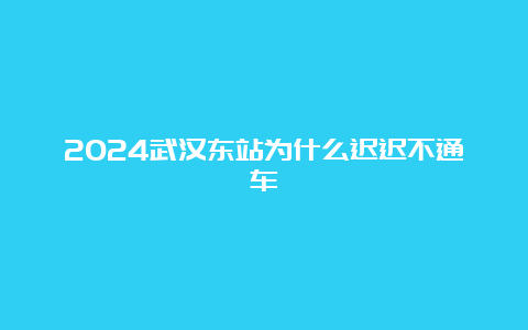 2024武汉东站为什么迟迟不通车