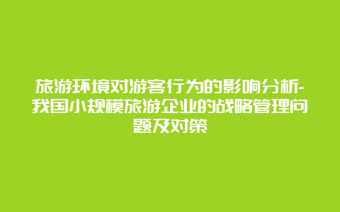 旅游环境对游客行为的影响分析-我国小规模旅游企业的战略管理问题及对策