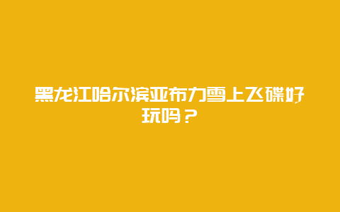 黑龙江哈尔滨亚布力雪上飞碟好玩吗？