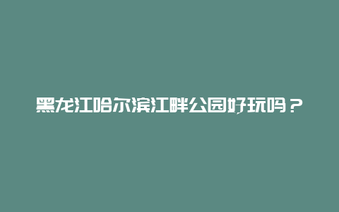 黑龙江哈尔滨江畔公园好玩吗？