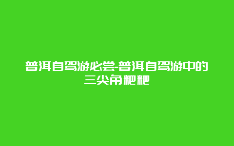 普洱自驾游必尝-普洱自驾游中的三尖角粑粑