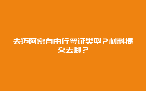 去迈阿密自由行签证类型？材料提交去哪？