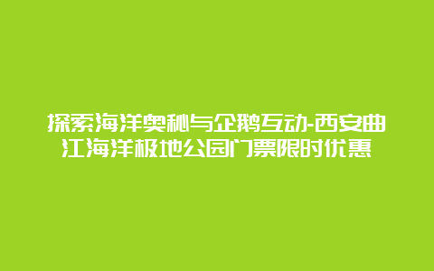 探索海洋奥秘与企鹅互动-西安曲江海洋极地公园门票限时优惠