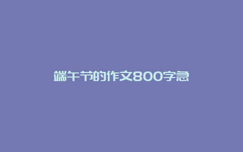 端午节的作文800字急