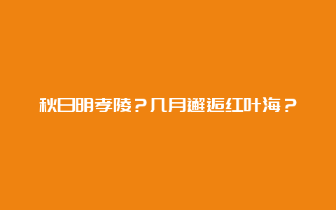 秋日明孝陵？几月邂逅红叶海？