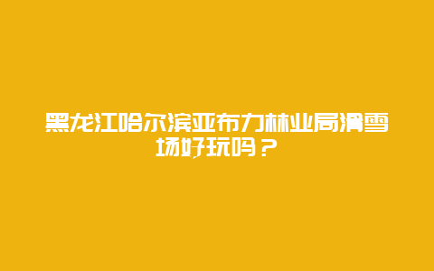 黑龙江哈尔滨亚布力林业局滑雪场好玩吗？