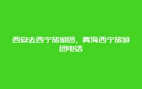 西安去西宁旅游团，青海西宁旅游团电话