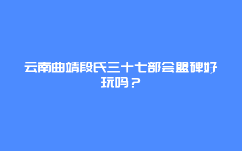 云南曲靖段氏三十七部会盟碑好玩吗？