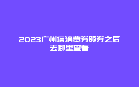 2024广州塔消费券领券之后去哪里查看