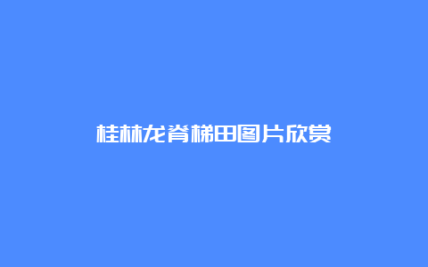 桂林龙脊梯田图片欣赏