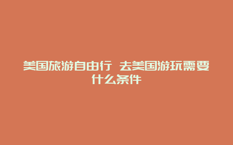 美国旅游自由行 去美国游玩需要什么条件