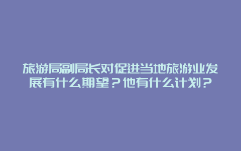 旅游局副局长对促进当地旅游业发展有什么期望？他有什么计划？