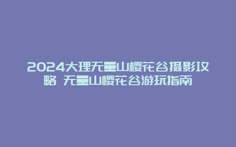 2024大理无量山樱花谷摄影攻略 无量山樱花谷游玩指南