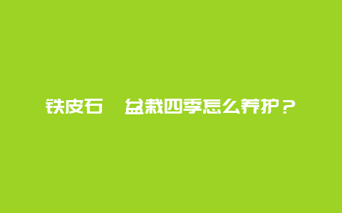 铁皮石斛盆栽四季怎么养护？