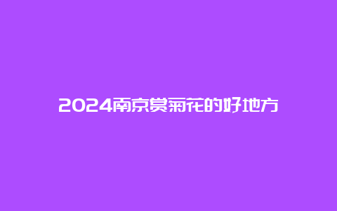 2024南京赏菊花的好地方