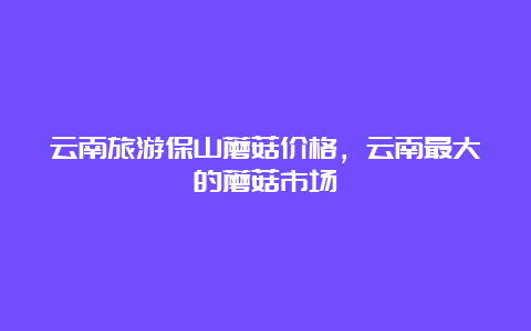 云南旅游保山蘑菇价格，云南最大的蘑菇市场