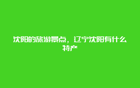 沈阳的旅游景点，辽宁沈阳有什么特产