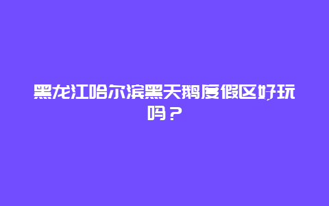 黑龙江哈尔滨黑天鹅度假区好玩吗？