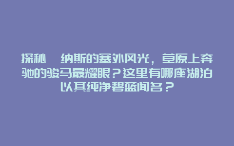 探秘喀纳斯的塞外风光，草原上奔驰的骏马最耀眼？这里有哪座湖泊以其纯净碧蓝闻名？