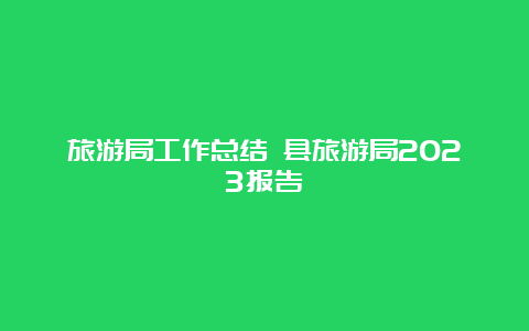 旅游局工作总结 县旅游局2023报告