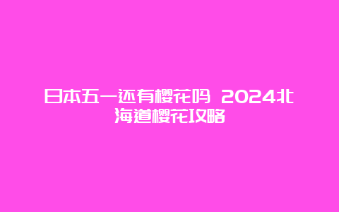 日本五一还有樱花吗 2024北海道樱花攻略