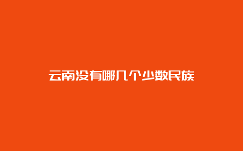 云南没有哪几个少数民族