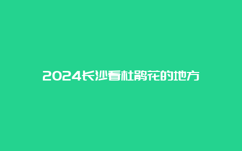 2024长沙看杜鹃花的地方