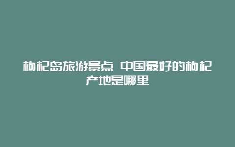 枸杞岛旅游景点 中国最好的枸杞产地是哪里