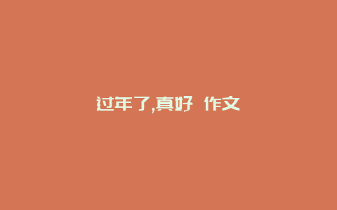 过年了,真好 作文