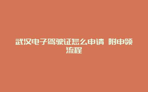 武汉电子驾驶证怎么申请 附申领流程