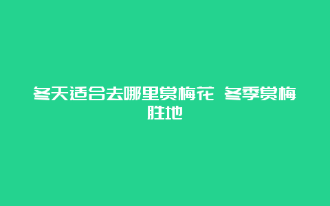 冬天适合去哪里赏梅花 冬季赏梅胜地