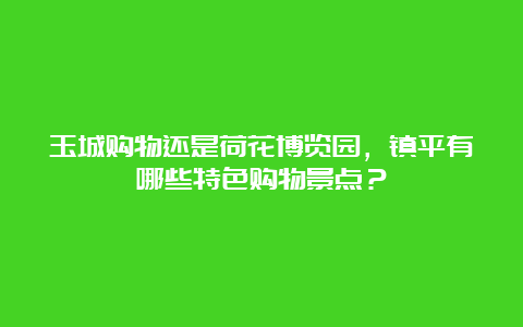 玉城购物还是荷花博览园，镇平有哪些特色购物景点？