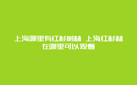 上海哪里有红杉树林 上海红杉林在哪里可以观看