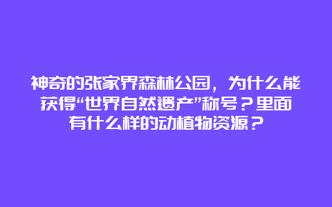 神奇的张家界森林公园，为什么能获得“世界自然遗产”称号？里面有什么样的动植物资源？