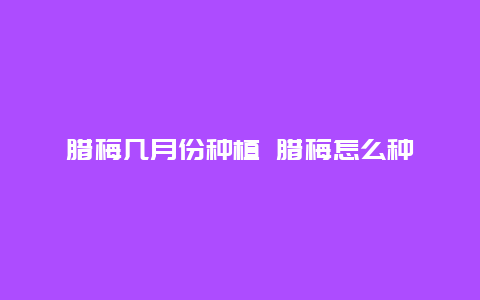 腊梅几月份种植 腊梅怎么种