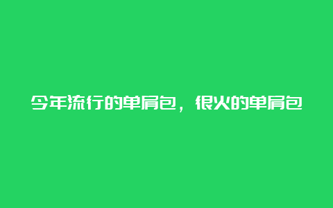 今年流行的单肩包，很火的单肩包