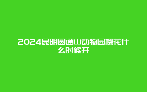 2024昆明圆通山动物园樱花什么时候开