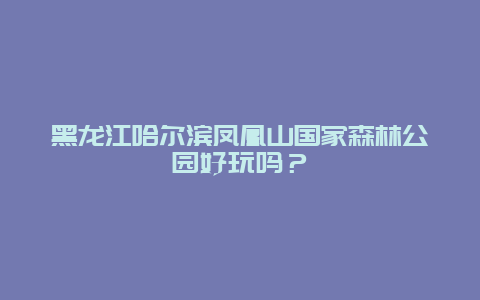 黑龙江哈尔滨凤凰山国家森林公园好玩吗？