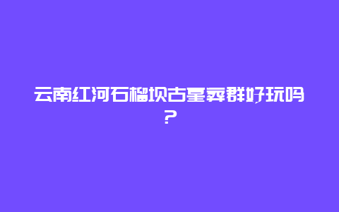 云南红河石榴坝古墓葬群好玩吗？