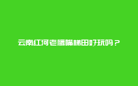 云南红河老鹰嘴梯田好玩吗？