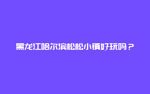 黑龙江哈尔滨松松小镇好玩吗？