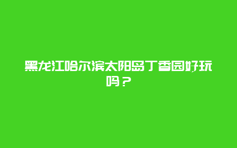 黑龙江哈尔滨太阳岛丁香园好玩吗？