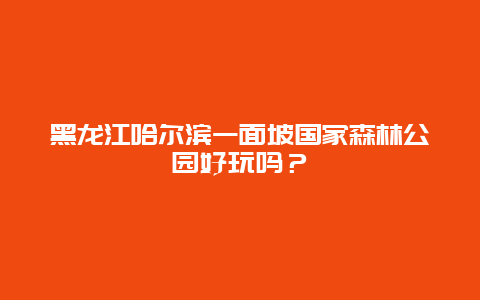 黑龙江哈尔滨一面坡国家森林公园好玩吗？