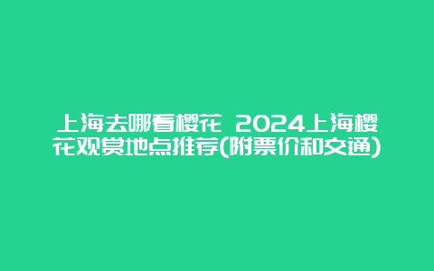 上海去哪看樱花 2024上海樱花观赏地点推荐(附票价和交通)