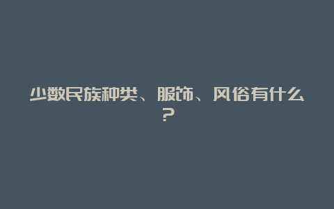 少数民族种类、服饰、风俗有什么？