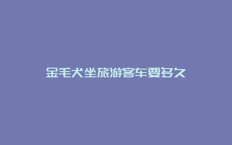 金毛犬坐旅游客车要多久